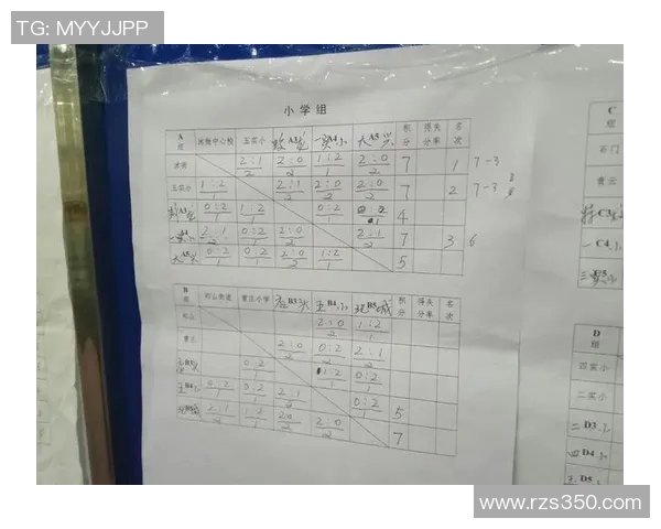 西安排球队进攻策略分析与得失评估探讨