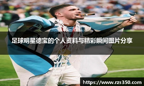 足球明星德宝的个人资料与精彩瞬间图片分享